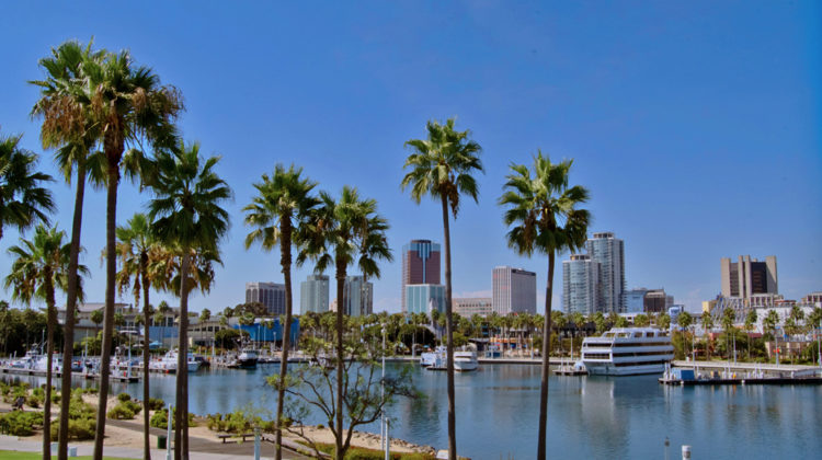 Image of Long Beach CA showing the building skyline palm trees and the Long Beach Harbor